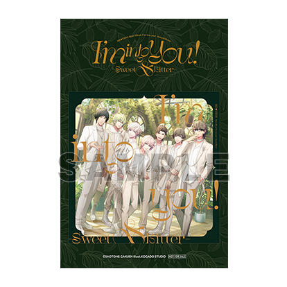 うたの☆プリンスさまっ♪ CD 21枚　まとめ売り　大量 うたの☆プリンスさまっ♪Shining Dream CD (初回生産限定盤