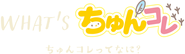 WHAT'S ちゅんコレ - ちゅんこれってなに？