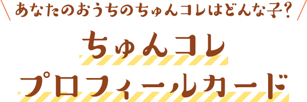 あなたのおうちのちゅんコレはどんな子？ ちゅんコレプロフィールカード