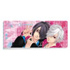 BROTHERS CONFLICT チケットホルダー