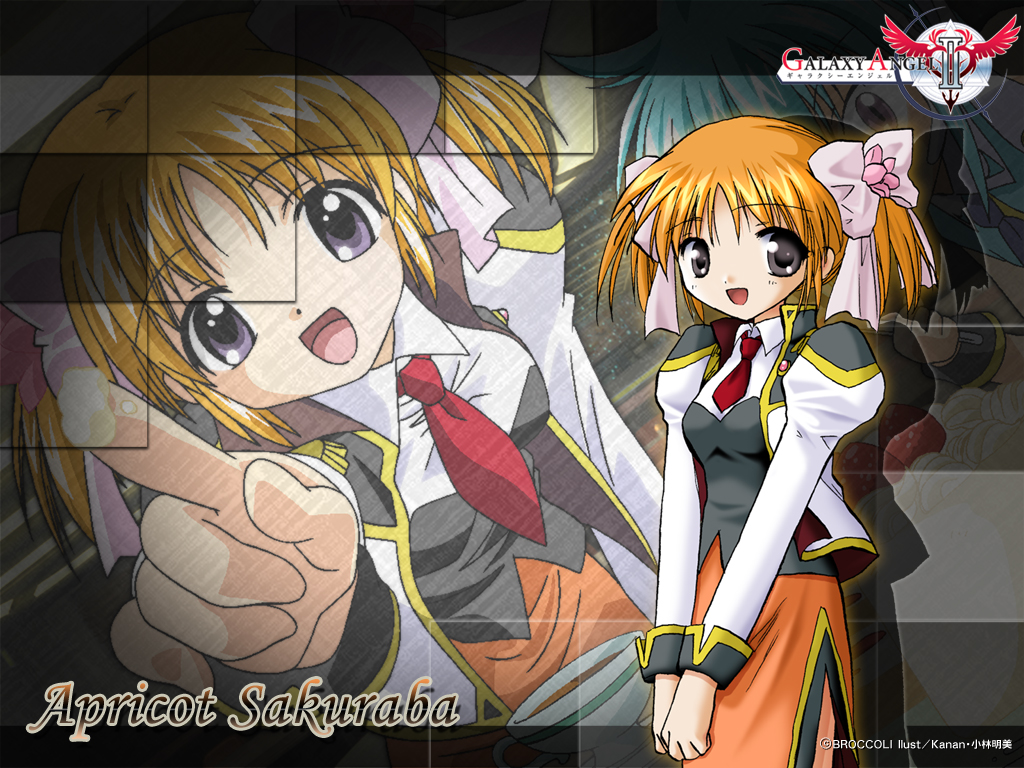 rico_normal_1024x768.jpg