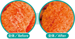 全体／Before　全体／After