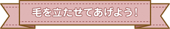 毛を立たせてあげよう！