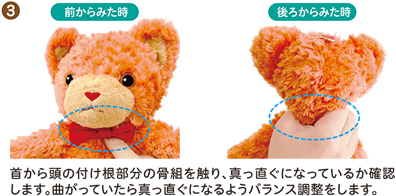 ③ 首から頭の付け根部分の骨組みを触り、真っ直ぐになっているかを確認します。曲がっていたら真っ直ぐになるようバランスを調整します。