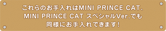 これらのお手入れはMINI PRINCE CAT、MINI PRINCE CAT スペシャルVer.でも同様にお手入れできます！