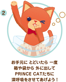 ② お手元に とどいたら 一度 箱や袋から 外に出して PRINCE CATたちに 深呼吸をさせてあげよう！